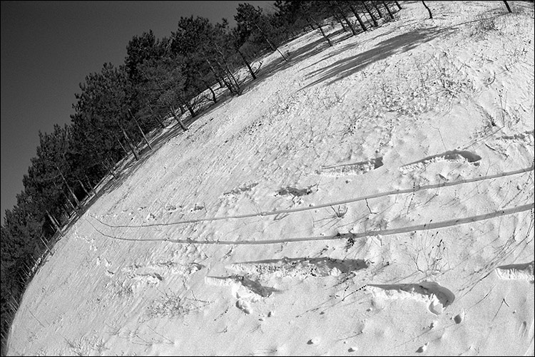 photo "#0152-0009" tags: landscape, black&white, winter