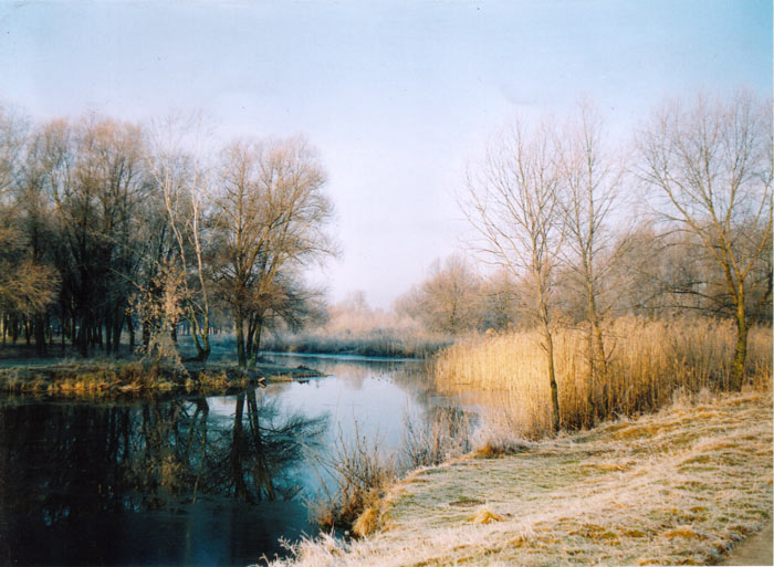 photo "The Khorol river 2" tags: landscape, forest, water