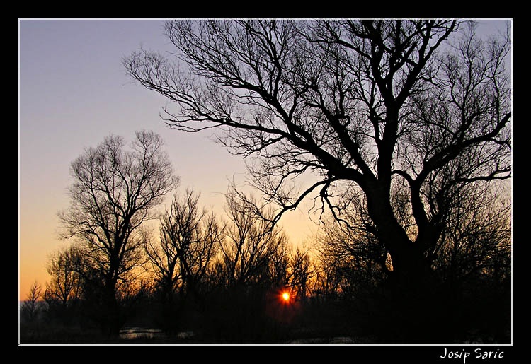 photo "Morning Sun" tags: landscape, sunset, winter