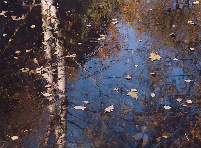 фото "Первый лёд" метки: разное, пейзаж, вода