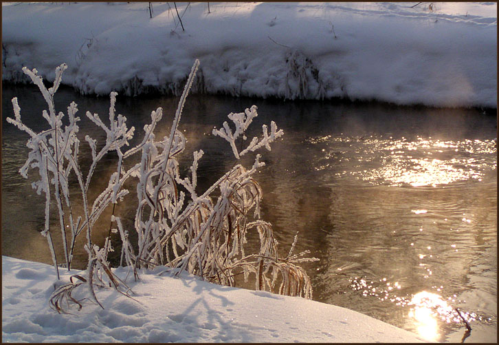 photo ""A little sun in cold water"" tags: landscape, water, winter