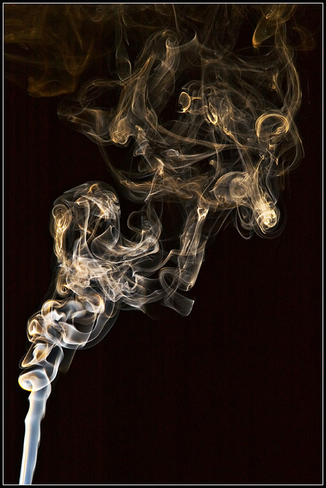 photo "Sea-horse" tags: still life, misc., 