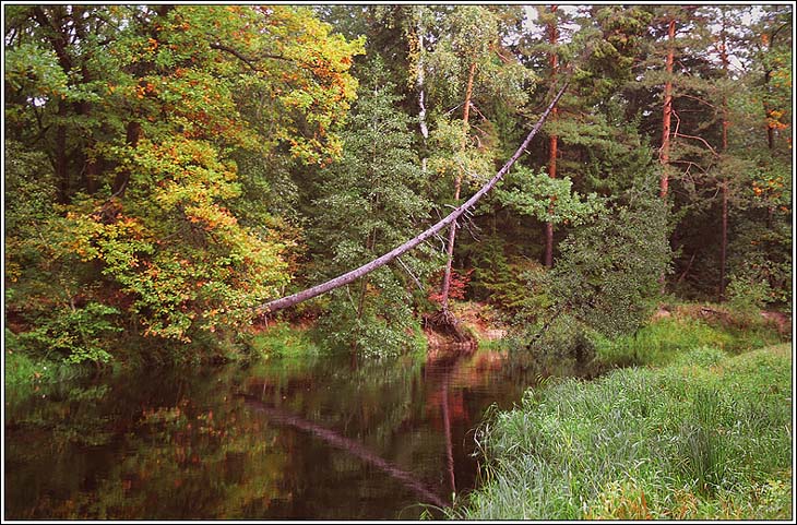 photo "Autumn in Meshera" tags: landscape, autumn, water