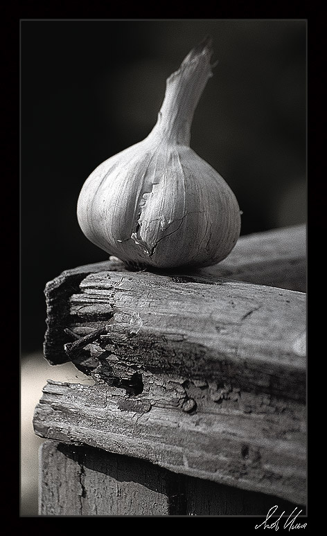 photo "Summer-verandah. Evening" tags: still life, black&white, 