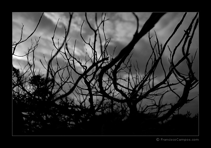 photo "(no title)" tags: landscape, black&white, night