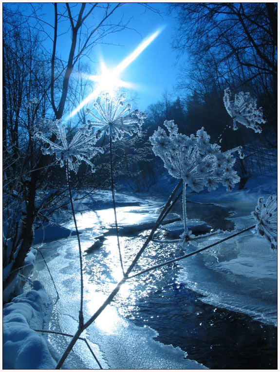 фото "Ледяной цветок" метки: пейзаж, вода, зима