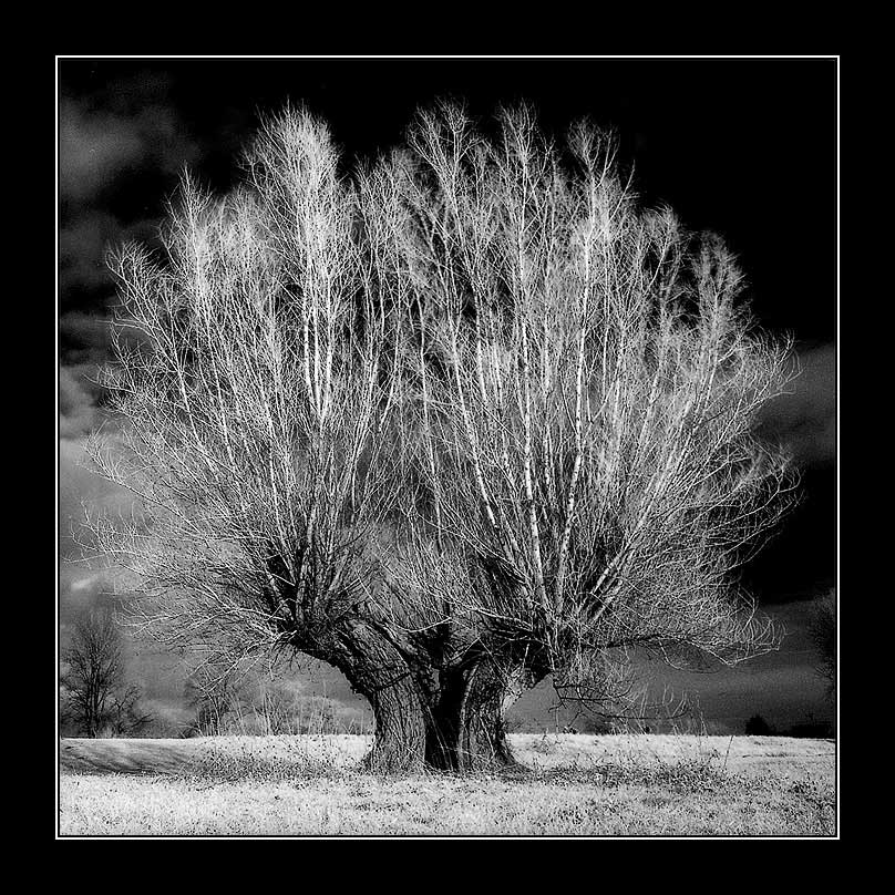 photo "Two in one" tags: landscape, black&white, 