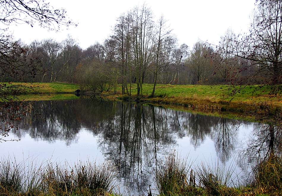 photo "Reflection" tags: landscape, water