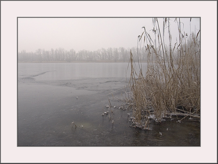 photo "morning foggy #10" tags: landscape, nature, water