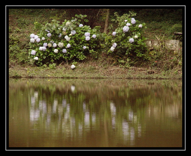 photo "A Lake" tags: landscape, travel, South America, water