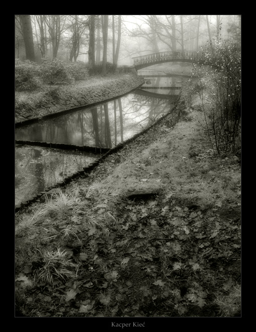 фото "hunting for fog" метки: архитектура, пейзаж, лес