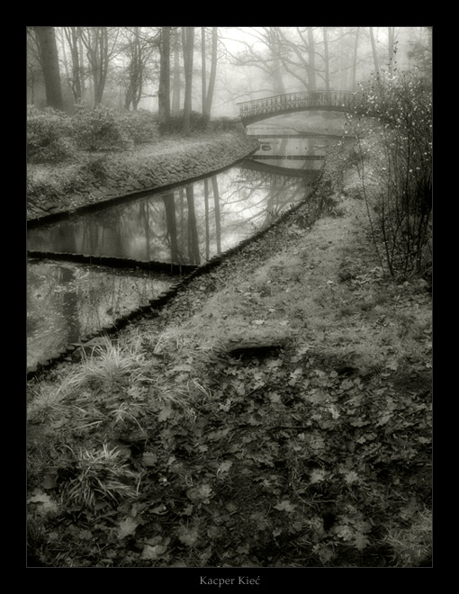 photo "hunting for fog" tags: architecture, landscape, forest