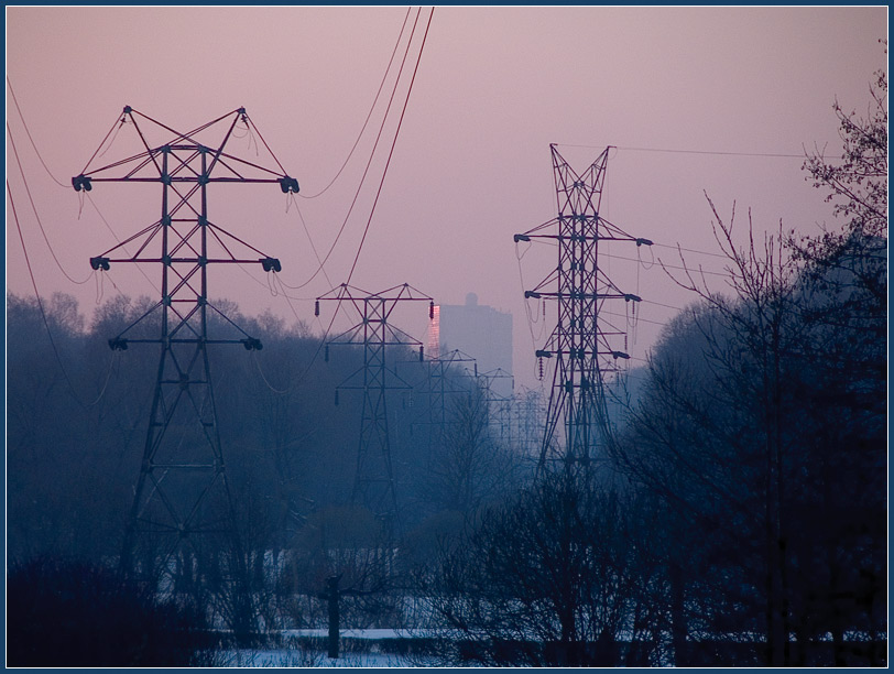 photo "Electricity" tags: landscape, genre, forest