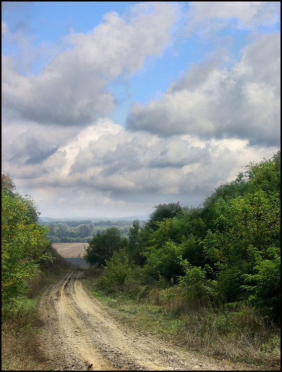 photo "Descent to the river" tags: landscape, autumn, clouds