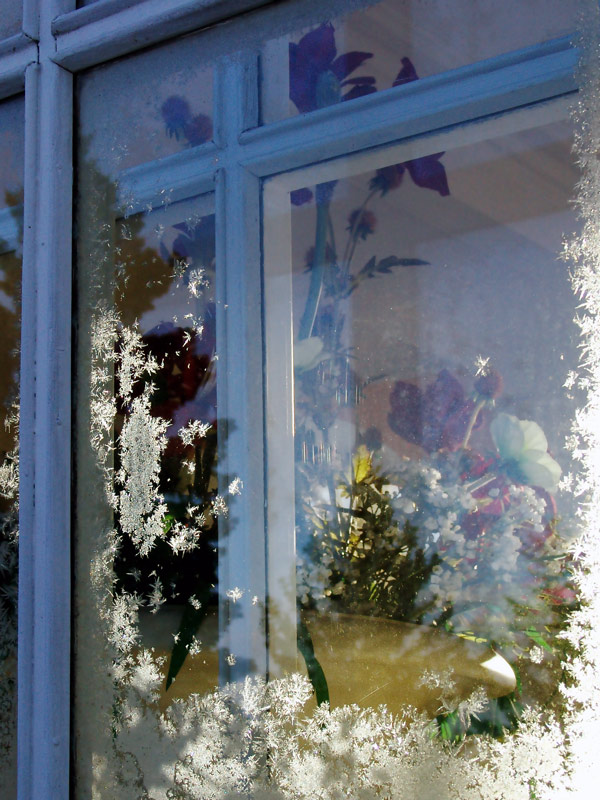 photo "Flowers in a window" tags: misc., 