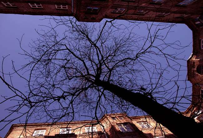photo "in Warsaw" tags: reporting, 