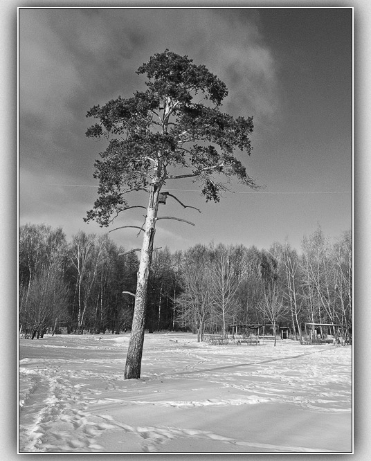 photo "Winter: the point of no return" tags: landscape, winter