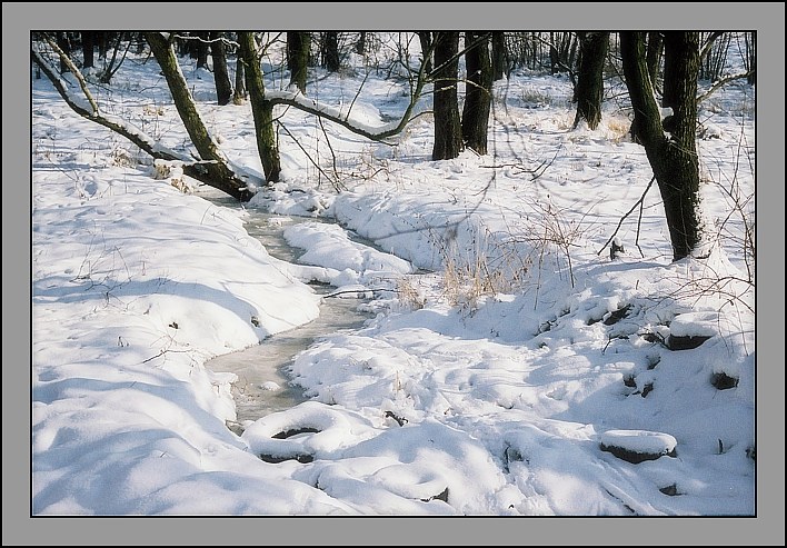 photo "***" tags: landscape, winter