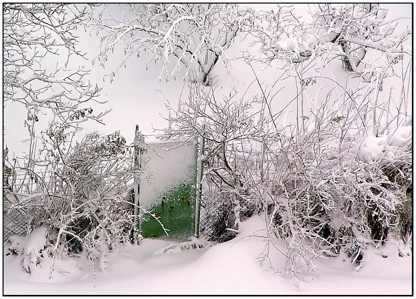 photo "The green door" tags: landscape, winter