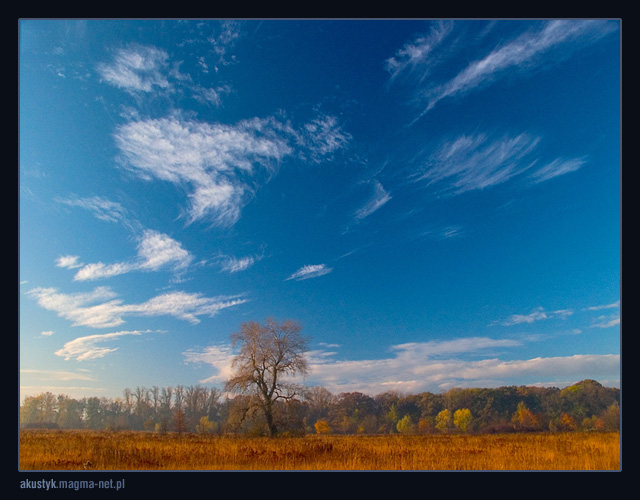 photo "orange" tags: landscape, autumn, clouds