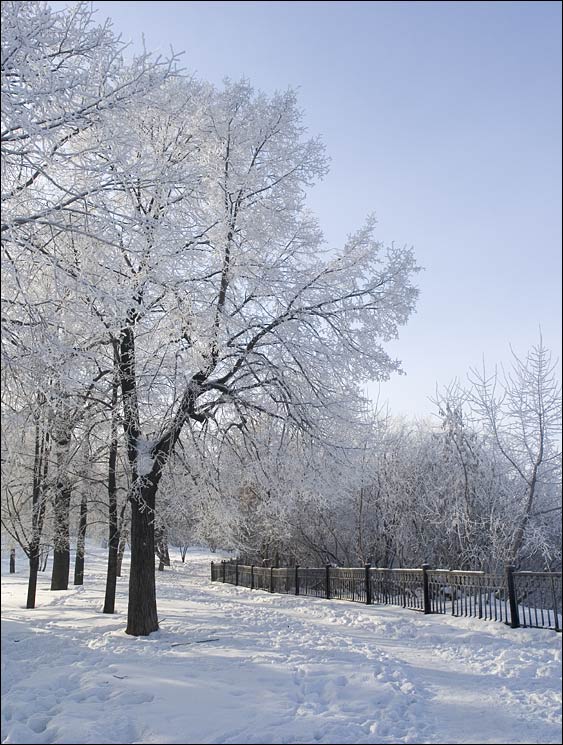 фото "-25C" метки: пейзаж, зима