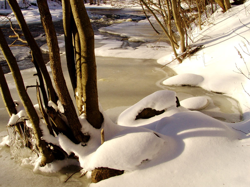 photo "Grows dark" tags: landscape, winter