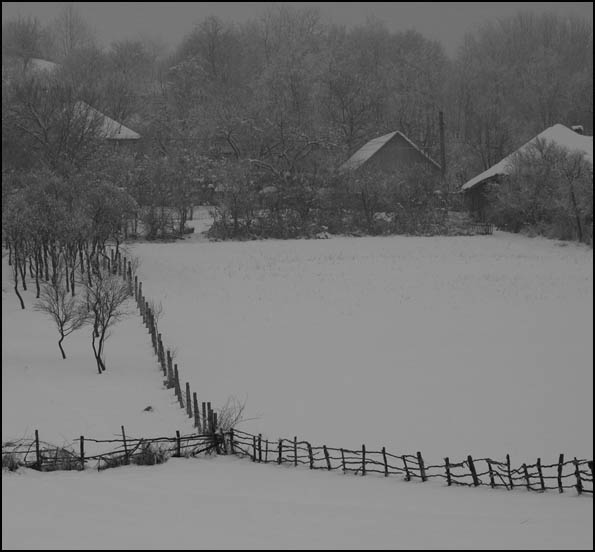 фото "winter tales" метки: разное, 