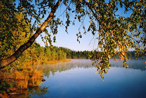 photo "*" tags: nature, landscape, autumn