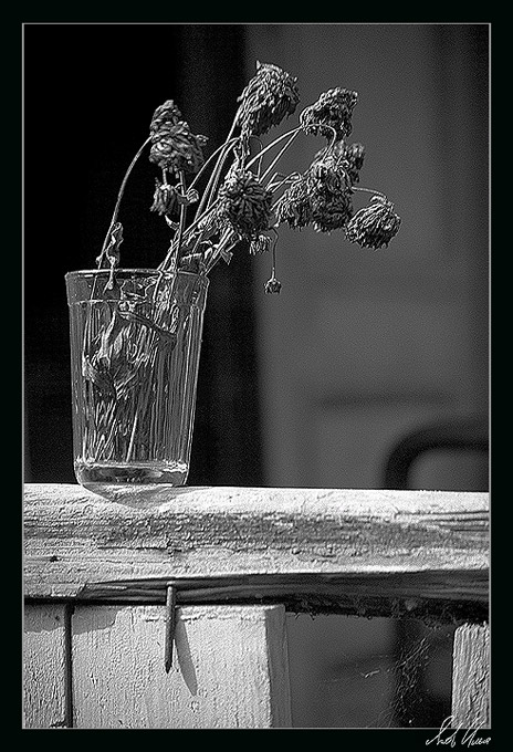 photo "Summer-verandah. Midday" tags: still life, black&white, 