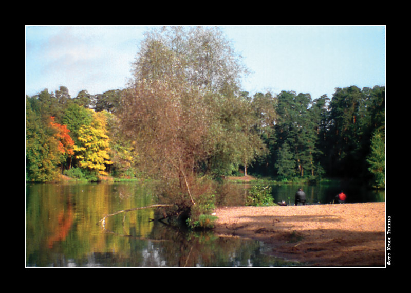 photo "Tranquillity 2004" tags: landscape, forest, water