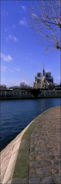 photo "Intimate landscape (25) Notre-Dame" tags: travel, architecture, landscape, Europe