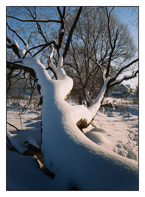 photo "February sketch" tags: landscape, winter