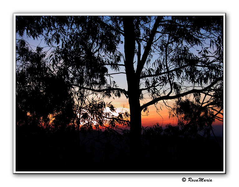 photo "Sunset at Lindoia" tags: travel, landscape, South America, sunset