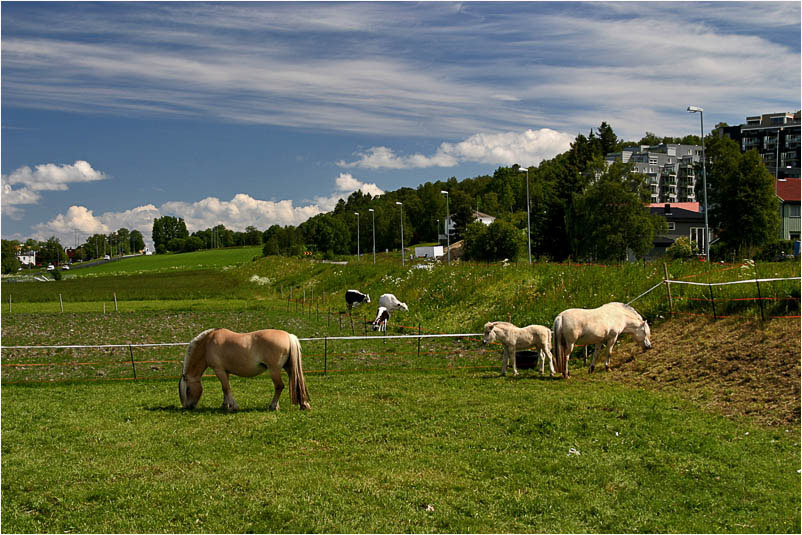 photo "*" tags: misc., 