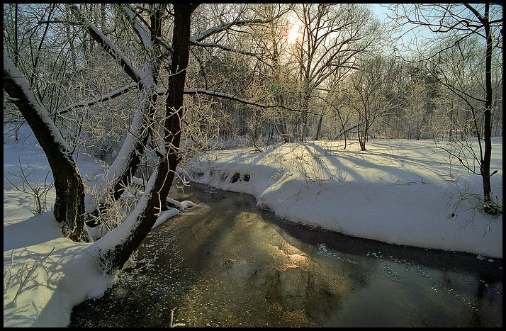 photo "Untitled photo" tags: landscape, forest, winter