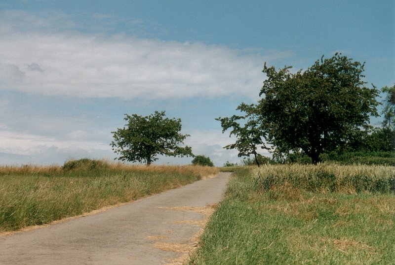 photo "along the road with clouds" tags: landscape, clouds, summer