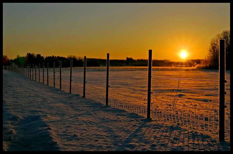 photo "February morning" tags: landscape, winter
