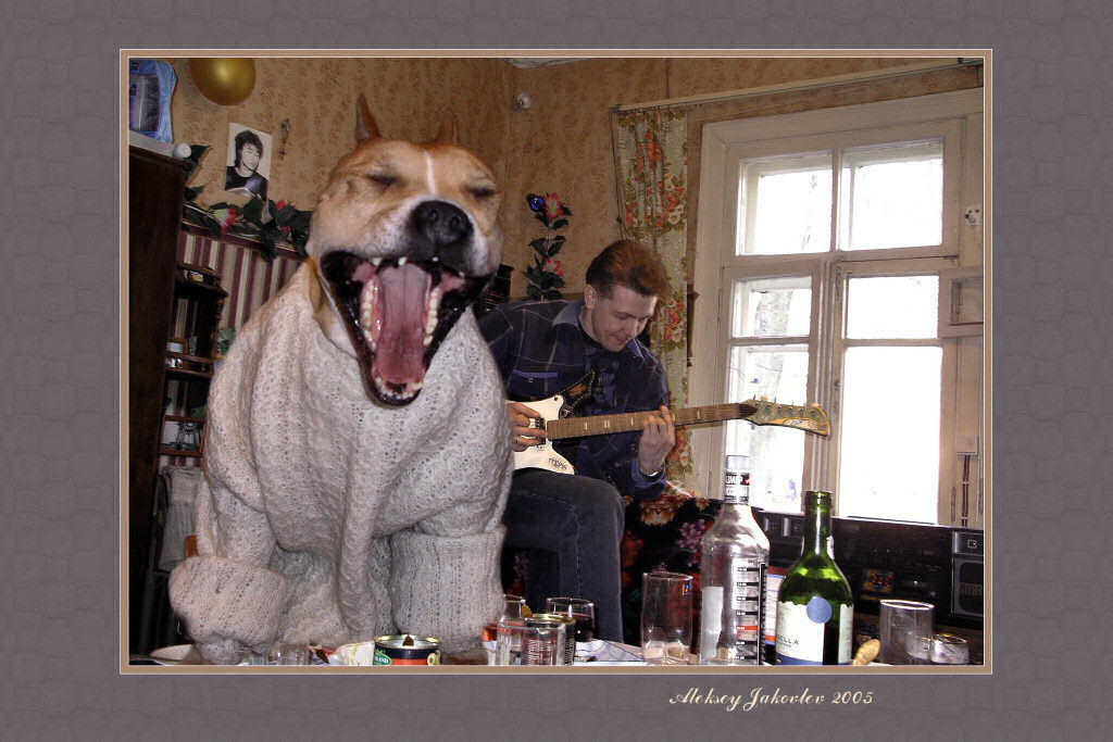 photo "What holiday without merry canto?" tags: nature, genre, pets/farm animals