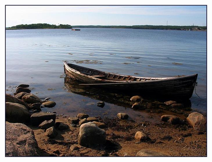 photo "At coast white" tags: landscape, summer, water