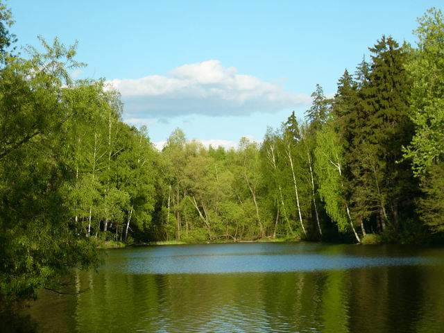 photo "Blue & green" tags: landscape, forest, water