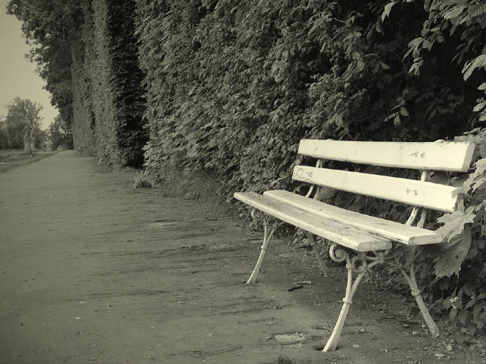 photo "Bench of memories" tags: nature, 