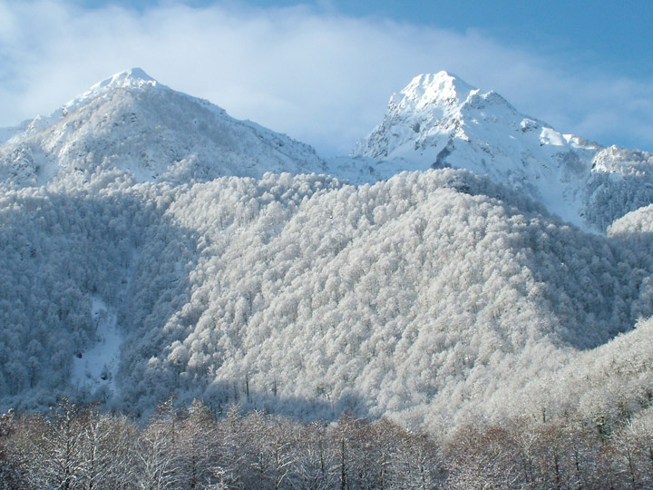 photo "Serene morning after blizzard" tags: landscape, mountains, winter