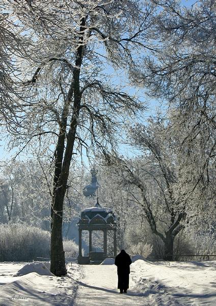 photo "Untitled photo" tags: landscape, genre, winter