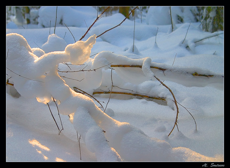 photo "Follies of winter" tags: nature, landscape, winter