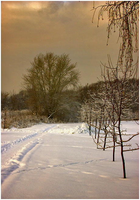 photo "snowy" tags: landscape, winter