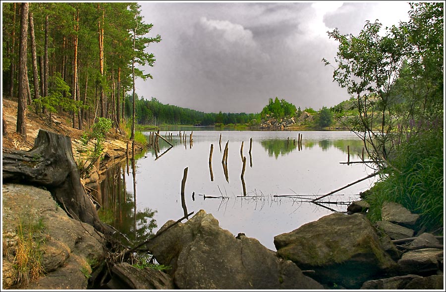 photo "cloudy" tags: landscape, forest, water