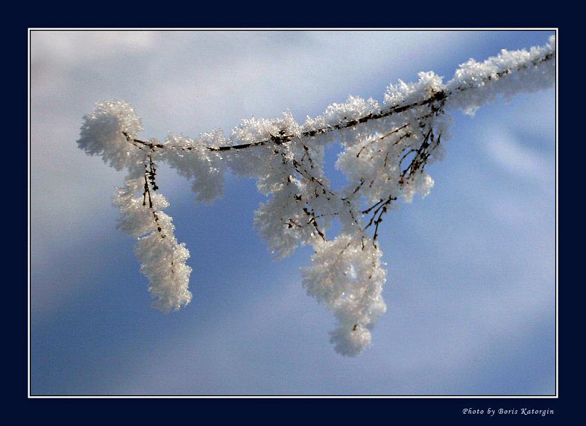 photo "Hoarfrost" tags: macro and close-up, still life, 