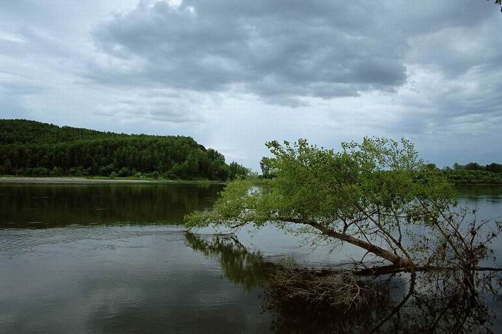 photo "Before a thunder-storm." tags: landscape, summer