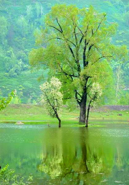 photo "Spring not far off" tags: landscape, spring