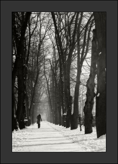 photo "To go for a walk..." tags: landscape, winter